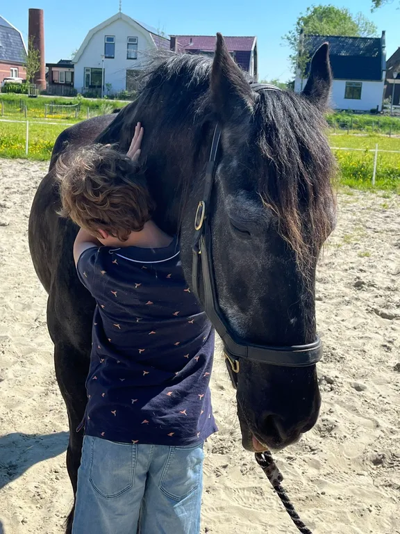 Jongen knuffelt rustig met een paard bij ’t Bonte erf