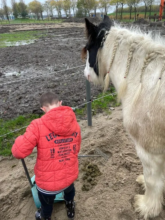 Jongen werkt met een kruiwagen naast een paard op het erf van ’t Bonte erf