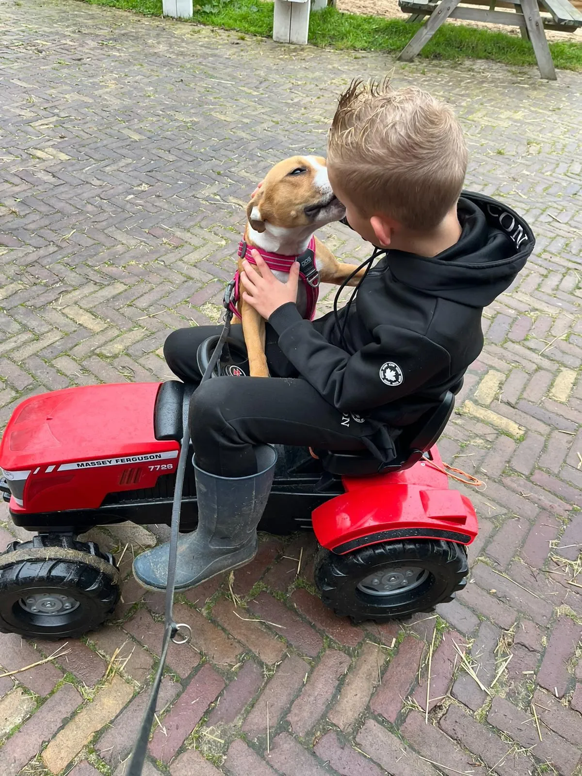 Jongen op een speeltrekker knuffelt met een hond bij ’t Bonte erf