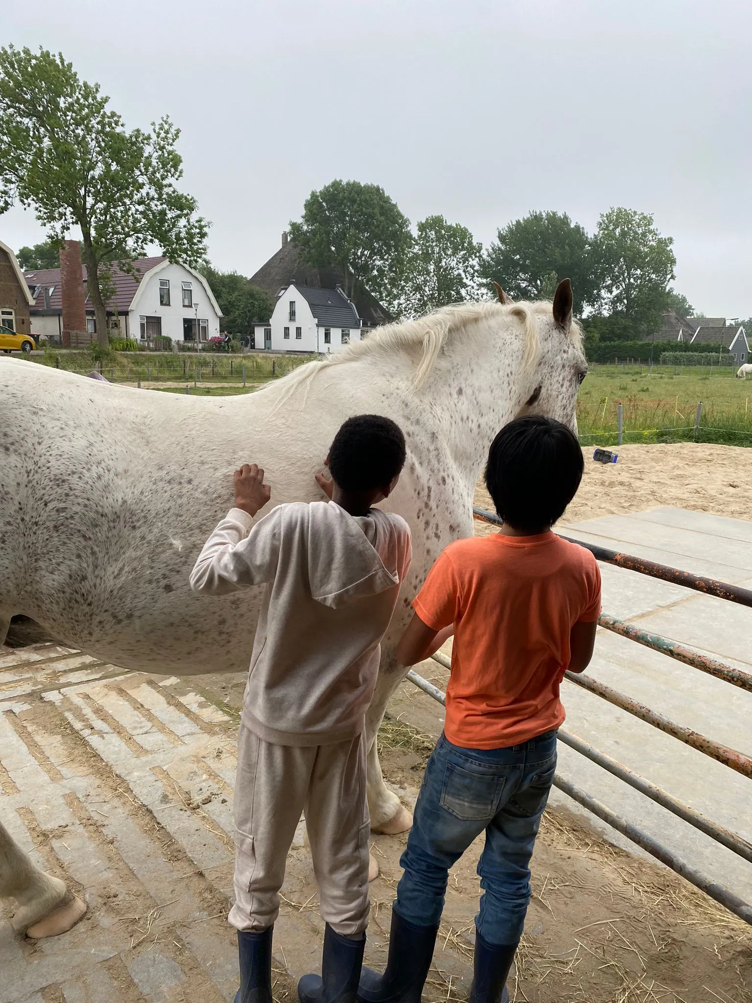 Kinderen aaien een wit paard bij ’t Bonte erf