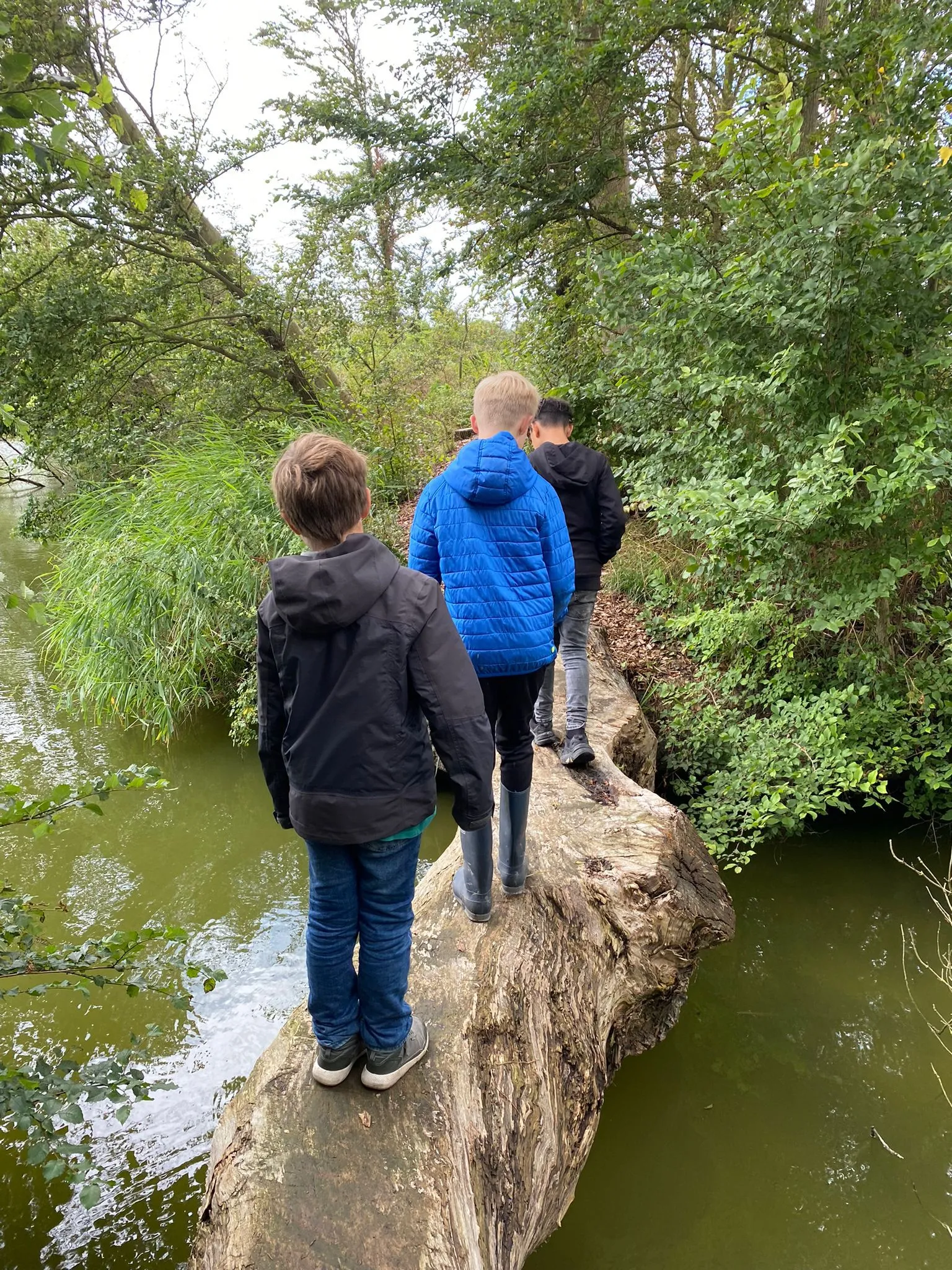 Kinderen lopen samen over een boomstam bij ’t Bonte erf