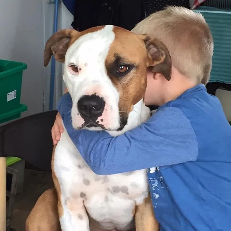 Kind met een hond bij ’t Bonte erf