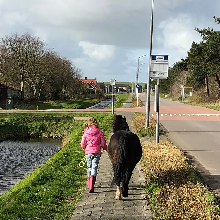 Kind loopt met een paard bij ’t Bonte erf
