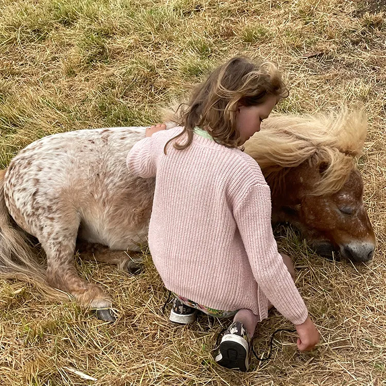 Meisje aait een liggende pony bij ’t Bonte erf