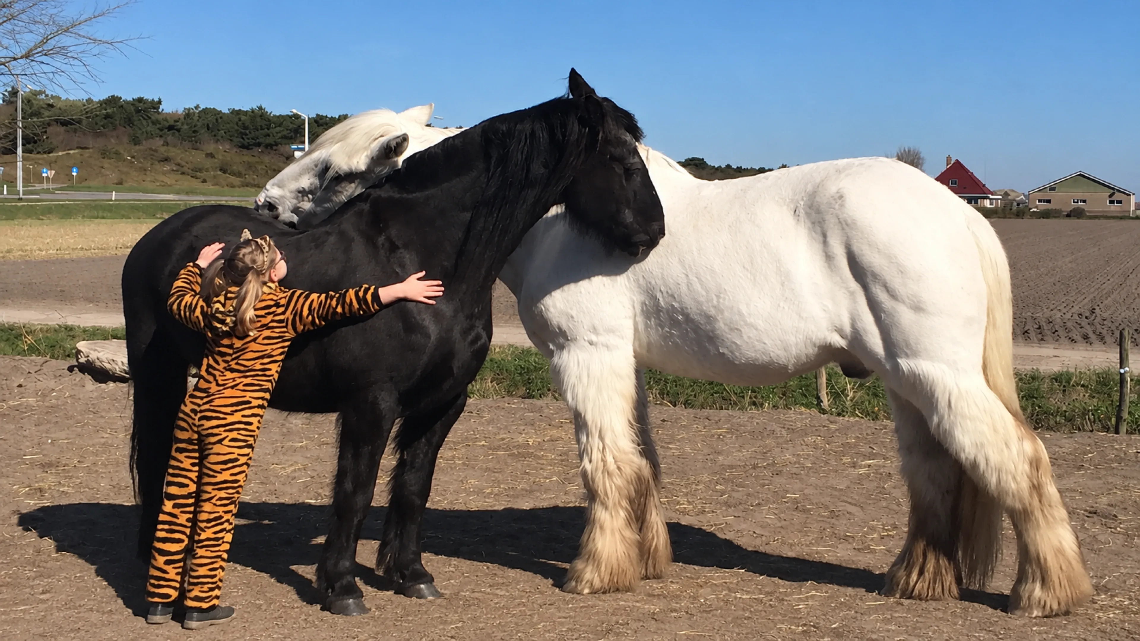 Meisje knuffelt twee paarden bij ’t Bonte erf