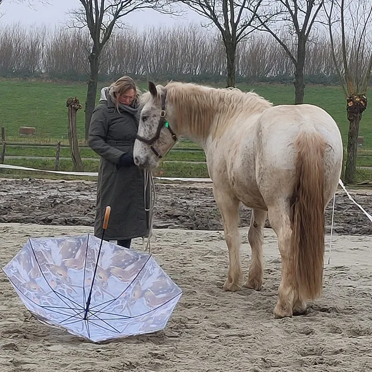 Yvonne Paardekooper met een paard bij ’t Bonte erf